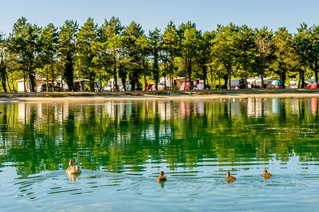 Lac