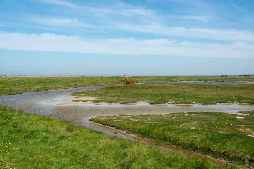 Parc-Naturel-Regional-des-Marais-du-Cotentin - Camping le Fanal à Isigny-sur-Mer